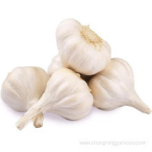 Supply Chinese White Fresh Garlic Price